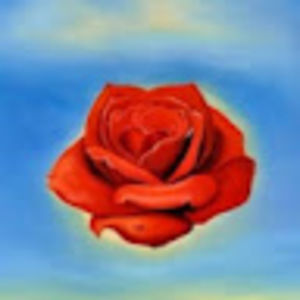 Meet your Posher, Mahryn